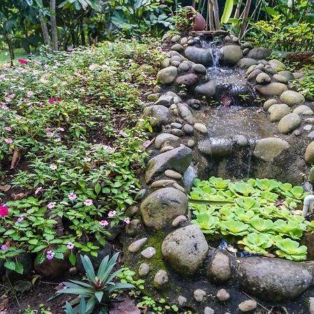 Hotel Vista Del Cerro La Fortuna Eksteriør bilde