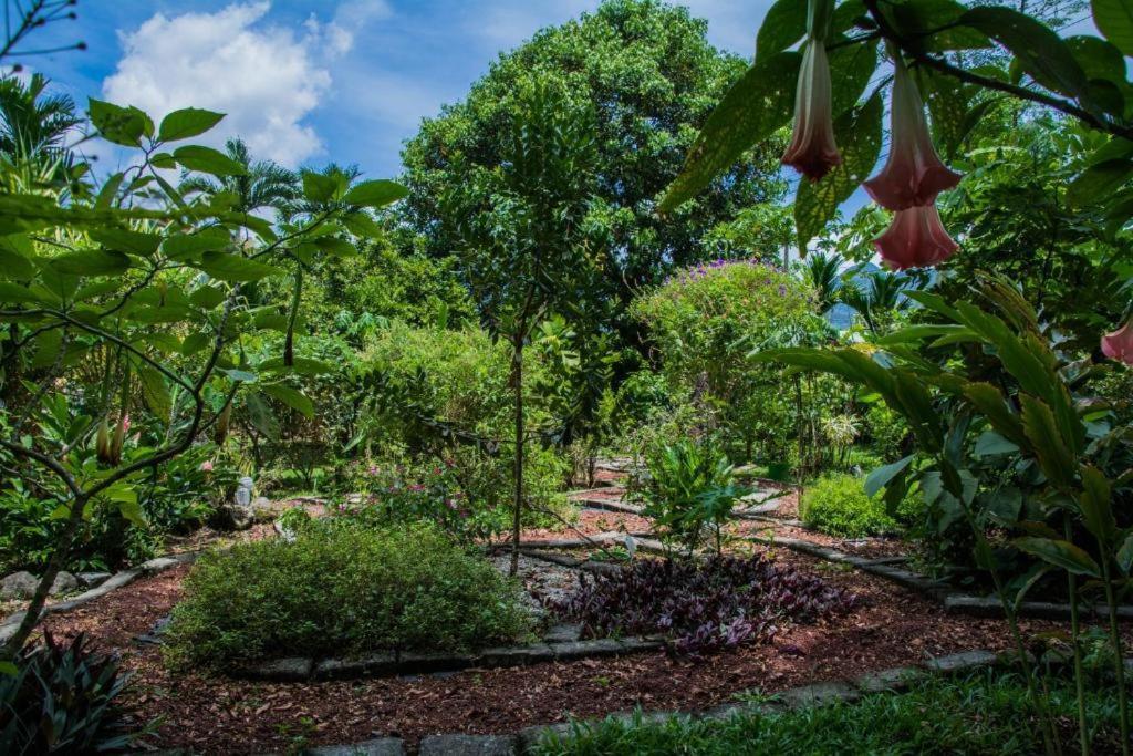 Hotel Vista Del Cerro La Fortuna Eksteriør bilde