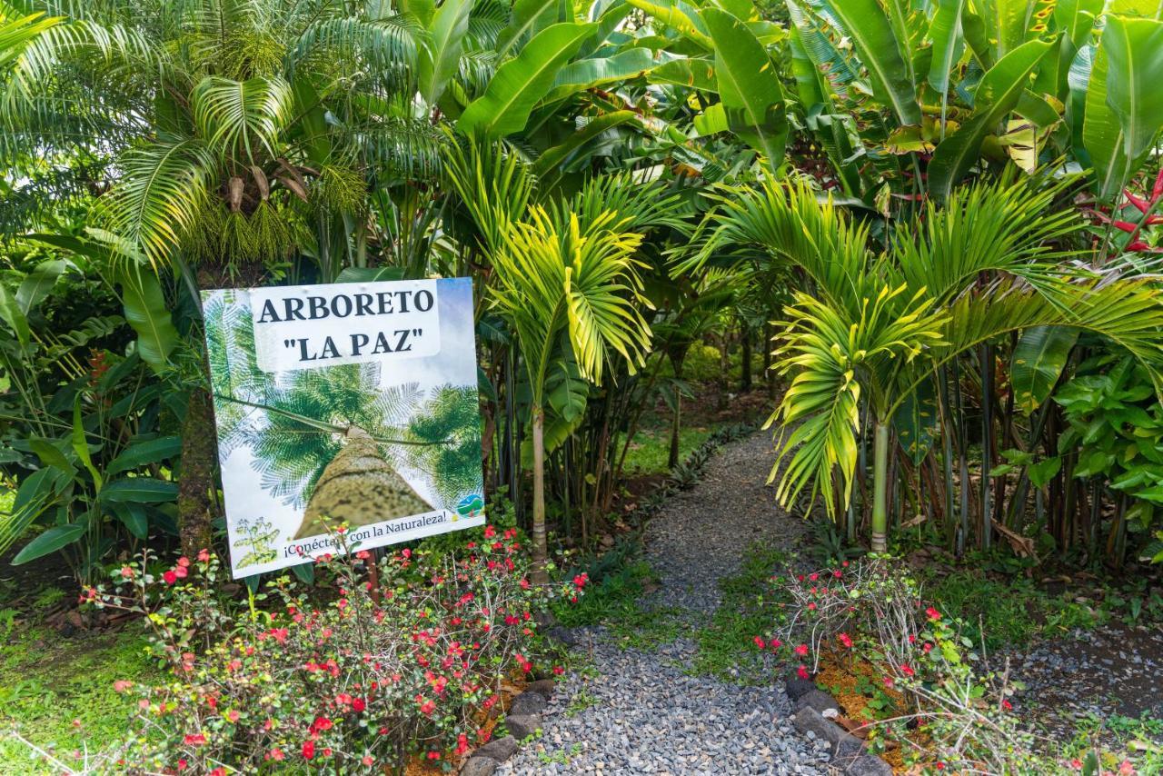 Hotel Vista Del Cerro La Fortuna Eksteriør bilde